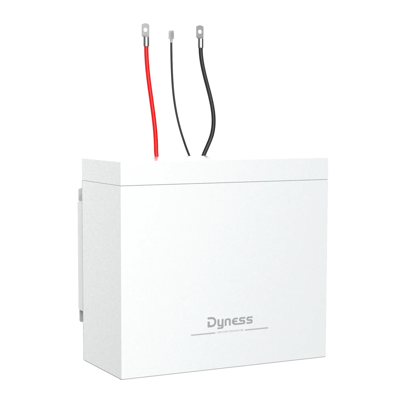 Акумуляторний модуль Dyness BOX 2xB4850 48V 100Ah 4.8kWh LiFePo4 (2xB4850) - Фото 1