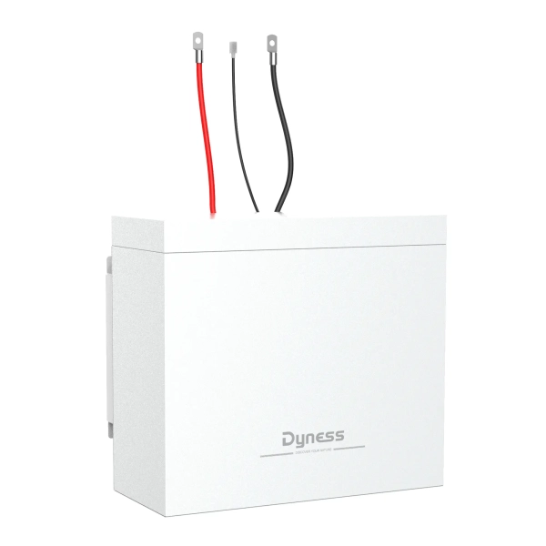 Акумуляторний модуль Dyness BOX 2xB4850 48V 100Ah 4.8kWh LiFePo4 (2xB4850) - Фото 1