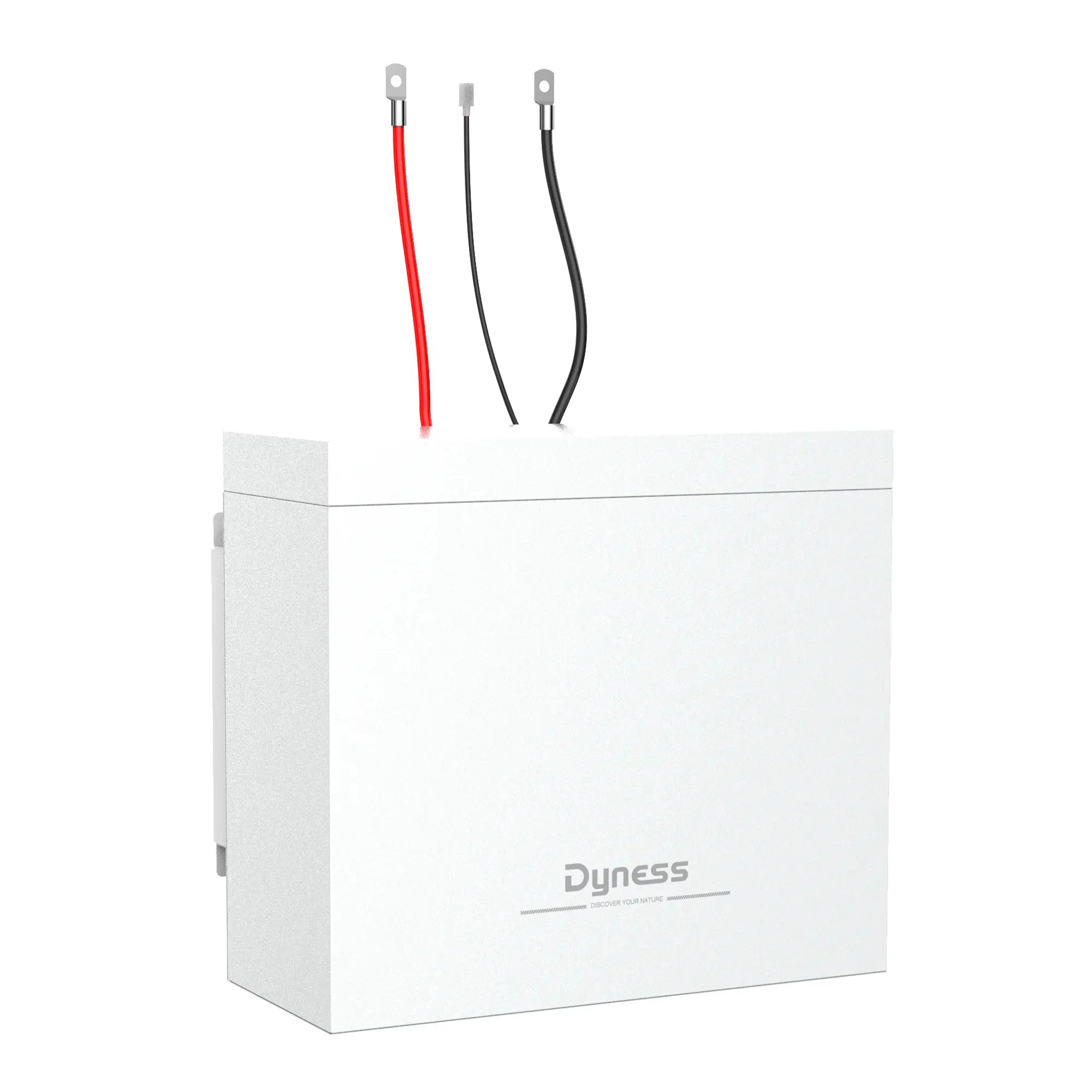 Акумуляторний модуль Dyness BOX 2xB4850 48V 100Ah 4.8kWh LiFePo4 (2xB4850) - Фото 1