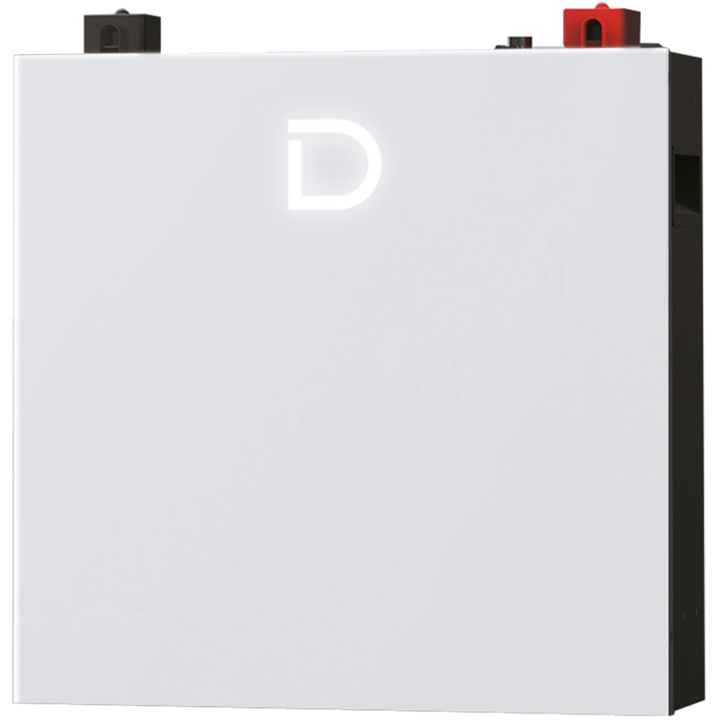 Акумуляторна батарея Dyness DL5.0C Pro 51.2V 100Ah 5.12kWh LiFePo4 (DL5.0C Pro) - Фото 1