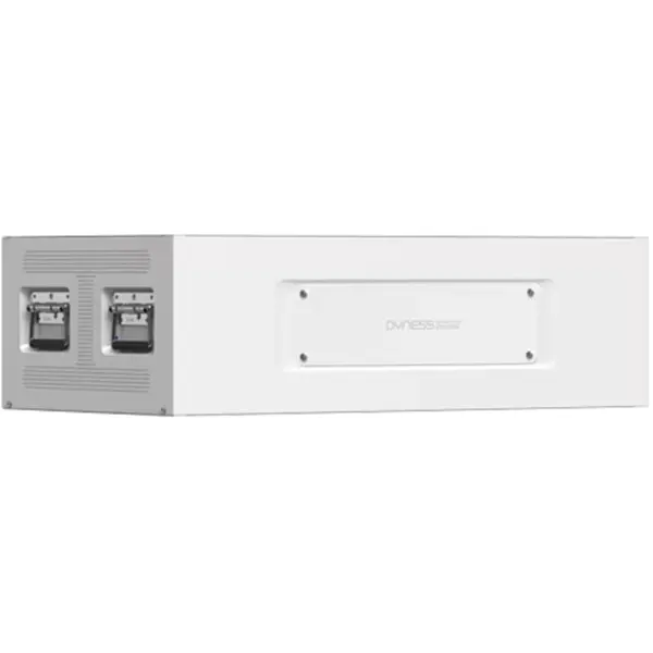 Купити Акумуляторна батарея Dyness STACK314 S51314 51.2V 314Ah 16.076kWh без BMS (S51314) - фото 2